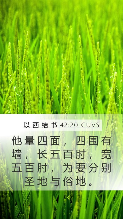 以 西 结 书 42:20 CUVS Bible Verse Image