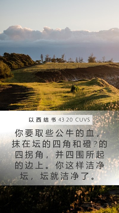 以 西 结 书 43:20 CUVS Bible Verse Image