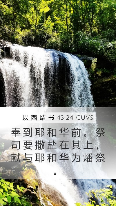 以 西 结 书 43:24 CUVS Mobile Phone Wallpaper - 奉 到 耶 和 华 前 。 祭 司 要 撒 盐 - Mobile Bible Verse Wallpaper