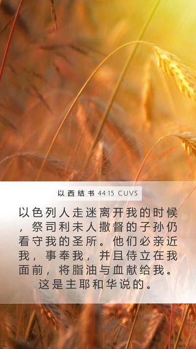 以 西 结 书 44:15 CUVS Bible Verse Image
