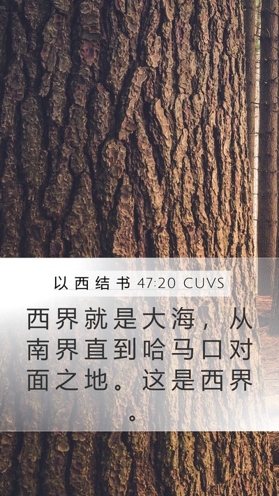 以 西 结 书 47:20 CUVS Bible Verse Image