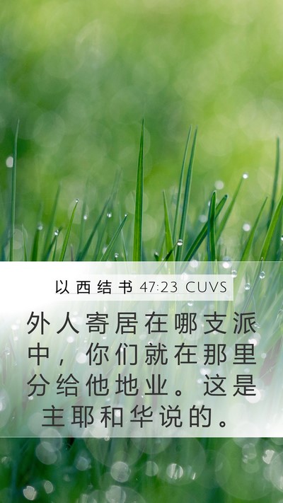 以 西 结 书 47:23 CUVS Mobile Phone Wallpaper - 外 人 寄 居 在 哪 支 派 中 ， 你 们 - Mobile Bible Verse Wallpaper