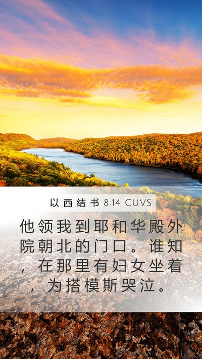 以 西 结 书 8:14 CUVS Bible Verse Image