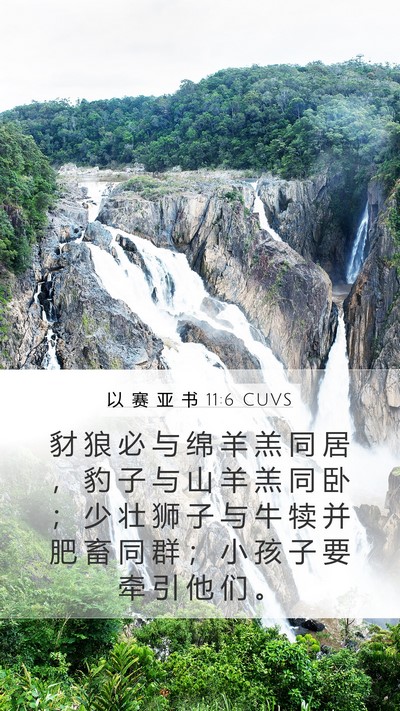 以 赛 亚 书 11:6 CUVS Bible Verse Image