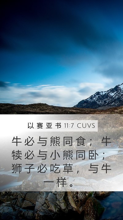 以 赛 亚 书 11:7 CUVS Mobile Phone Wallpaper - 牛 必 与 熊 同 食 ； 牛 犊 必 与 小 - Mobile Bible Verse Wallpaper
