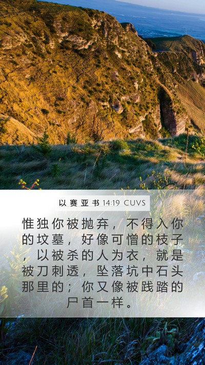 以 赛 亚 书 14:19 CUVS Bible Verse Image