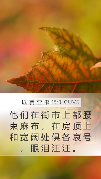 以 赛 亚 书 15:3 CUVS Bible Verse Image