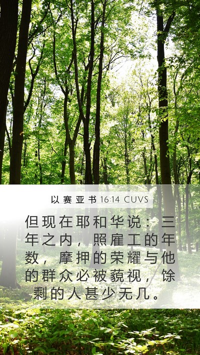 以 赛 亚 书 16:14 CUVS Bible Verse Image