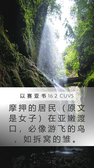 以 赛 亚 书 16:2 CUVS Bible Verse Image