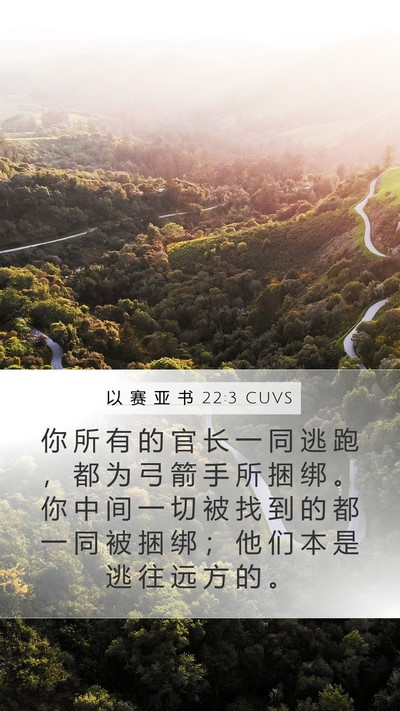 以 赛 亚 书 22:3 CUVS Bible Verse Image