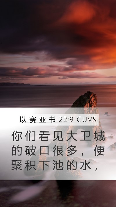 以 赛 亚 书 22:9 CUVS Bible Verse Image