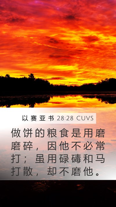 以 赛 亚 书 28:28 CUVS Mobile Phone Wallpaper - 做 饼 的 粮 食 是 用 磨 磨 碎 ， 因 - Mobile Bible Verse Wallpaper