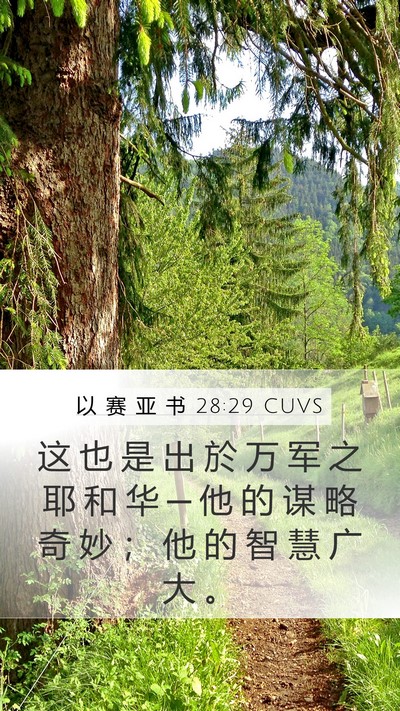 以 赛 亚 书 28:29 CUVS Bible Verse Image