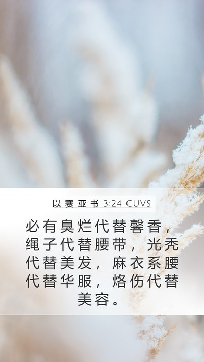 以 赛 亚 书 3:24 CUVS Bible Verse Image