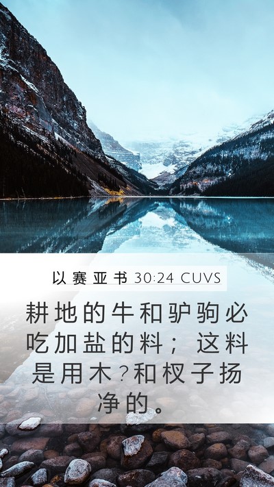 以 赛 亚 书 30:24 CUVS Bible Verse Image