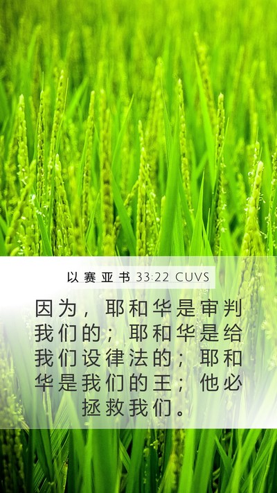 以 赛 亚 书 33:22 CUVS Bible Verse Image