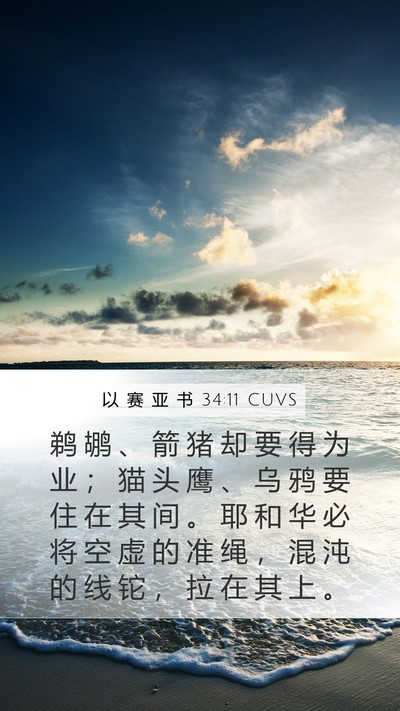 以 赛 亚 书 34:11 CUVS Bible Verse Image