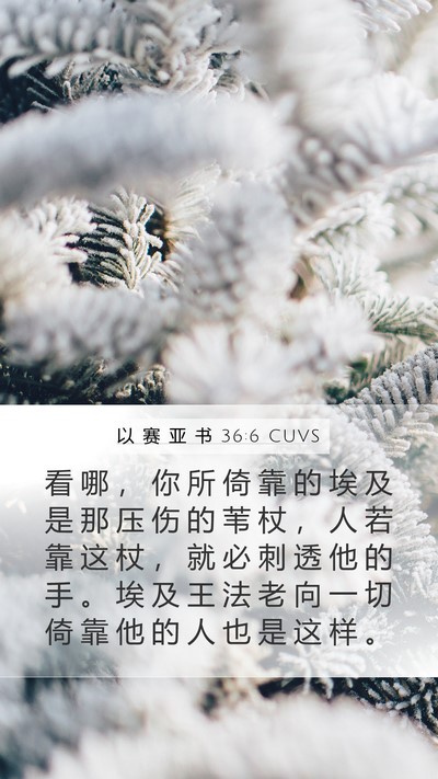 以 赛 亚 书 36:6 CUVS Bible Verse Image