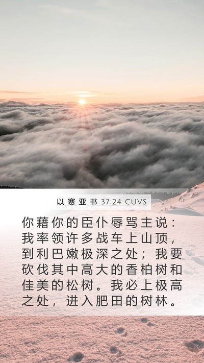 以 赛 亚 书 37:24 CUVS Bible Verse Image