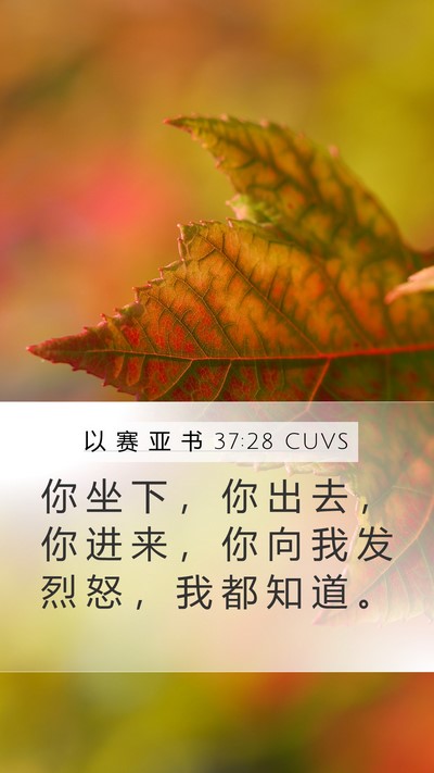 以 赛 亚 书 37:28 CUVS Bible Verse Image