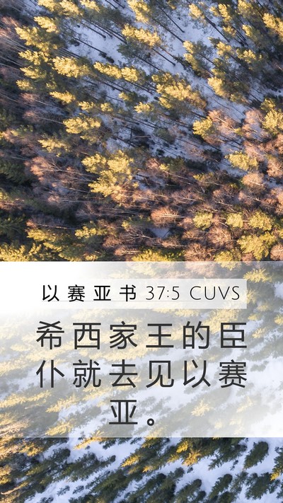 以 赛 亚 书 37:5 CUVS Mobile Phone Wallpaper - 希 西 家 王 的 臣 仆 就 去 见 以 赛 - Mobile Bible Verse Wallpaper