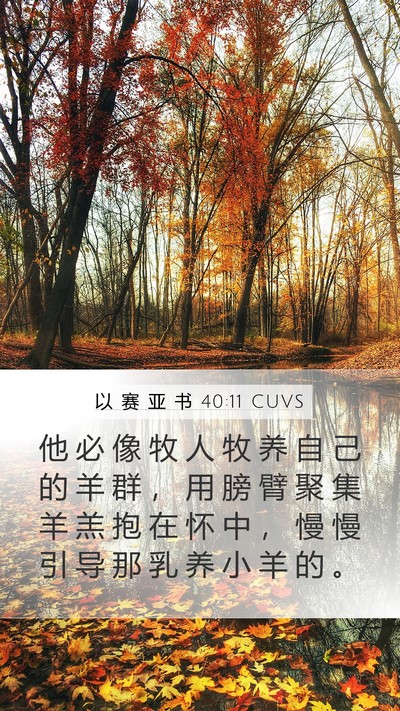 以 赛 亚 书 40:11 CUVS Bible Verse Image