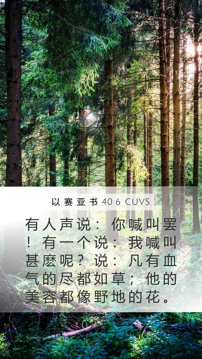 以 赛 亚 书 40:6 CUVS Mobile Phone Wallpaper - 有 人 声 说 ： 你 喊 叫 罢 ！ 有 一 - Mobile Bible Verse Wallpaper