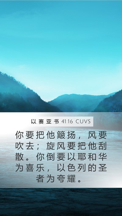 以 赛 亚 书 41:16 CUVS Mobile Phone Wallpaper - 你 要 把 他 簸 扬 ， 风 要 吹 去 ； - Mobile Bible Verse Wallpaper
