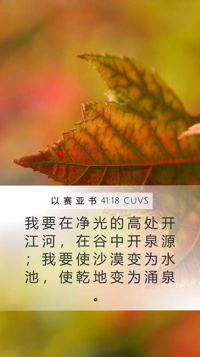 以 赛 亚 书 41:18 CUVS Bible Verse Image