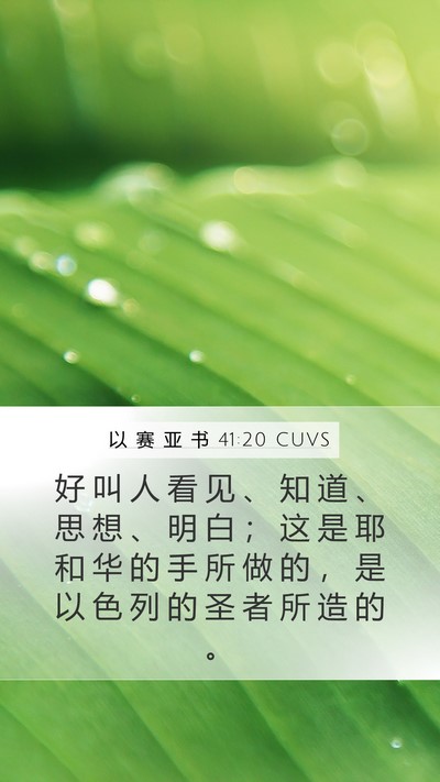 以 赛 亚 书 41:20 CUVS Mobile Phone Wallpaper - 好 叫 人 看 见 、 知 道 、 思 想 、 - Mobile Bible Verse Wallpaper
