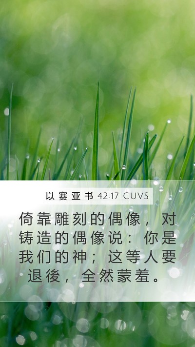 以 赛 亚 书 42:17 CUVS Bible Verse Image