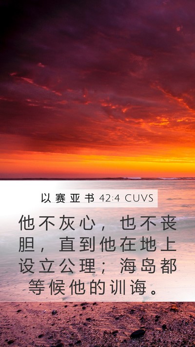 以 赛 亚 书 42:4 CUVS Bible Verse Image