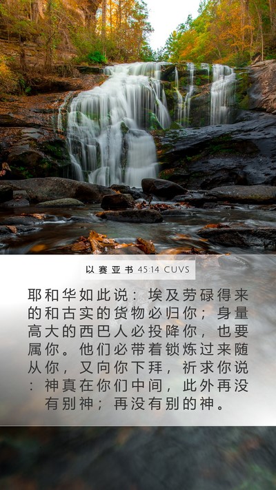 以 赛 亚 书 45:14 CUVS Bible Verse Image