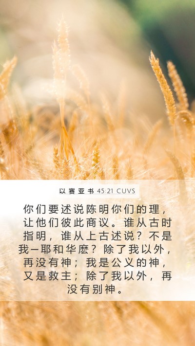 以 赛 亚 书 45:21 CUVS Bible Verse Image