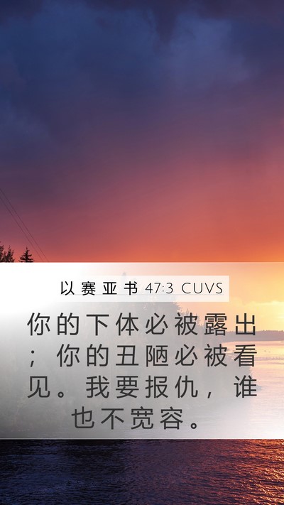 以 赛 亚 书 47:3 CUVS Bible Verse Image
