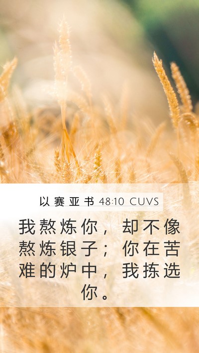 以 赛 亚 书 48:10 CUVS Bible Verse Image