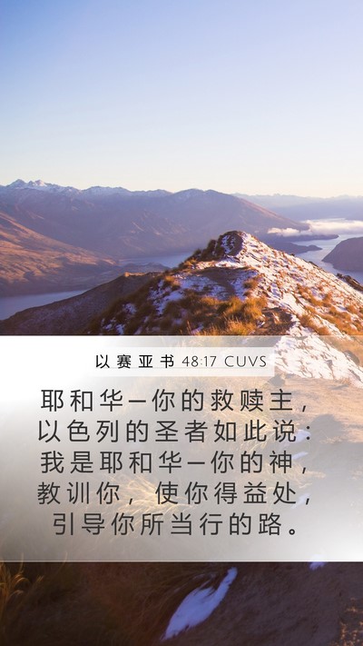以 赛 亚 书 48:17 CUVS Bible Verse Image