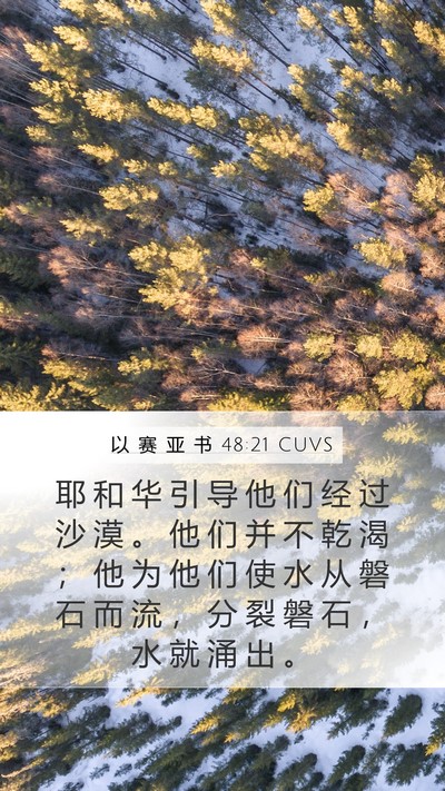以 赛 亚 书 48:21 CUVS Bible Verse Image