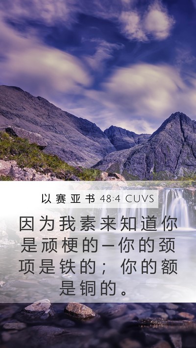 以 赛 亚 书 48:4 CUVS Bible Verse Image