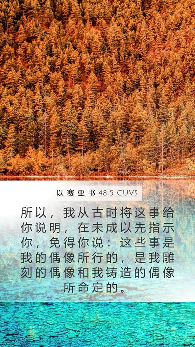 以 赛 亚 书 48:5 CUVS Bible Verse Image