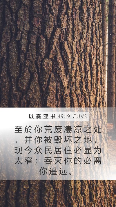 以 赛 亚 书 49:19 CUVS Bible Verse Image
