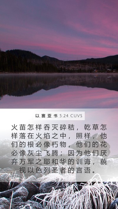 以 赛 亚 书 5:24 CUVS Bible Verse Image