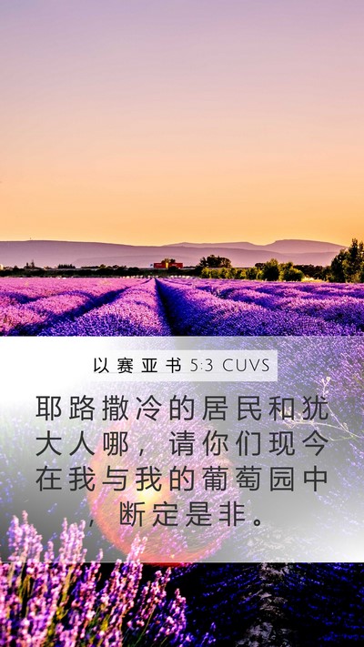 以 赛 亚 书 5:3 CUVS Bible Verse Image