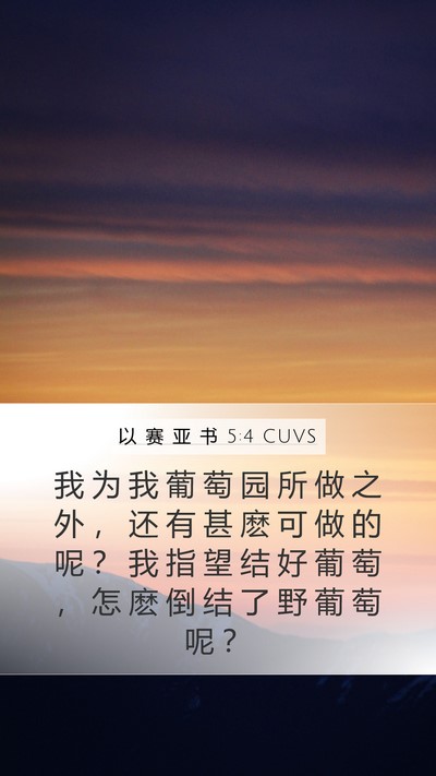 以 赛 亚 书 5:4 CUVS Bible Verse Image