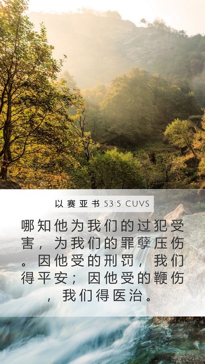 以 赛 亚 书 53:5 CUVS Bible Verse Image