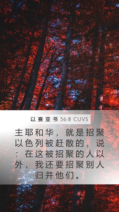 以 赛 亚 书 56:8 CUVS Mobile Phone Wallpaper - 主 耶 和 华 ， 就 是 招 聚 以 色 列 - Mobile Bible Verse Wallpaper