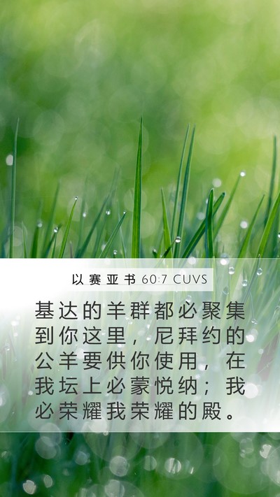 以 赛 亚 书 60:7 CUVS Bible Verse Image
