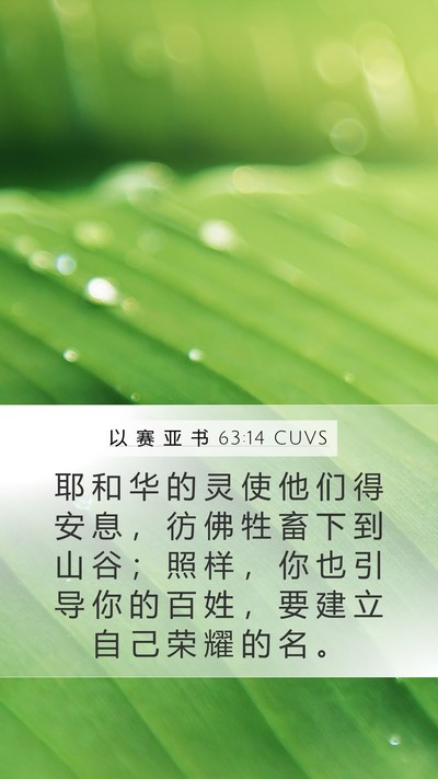 以 赛 亚 书 63:14 CUVS Bible Verse Image