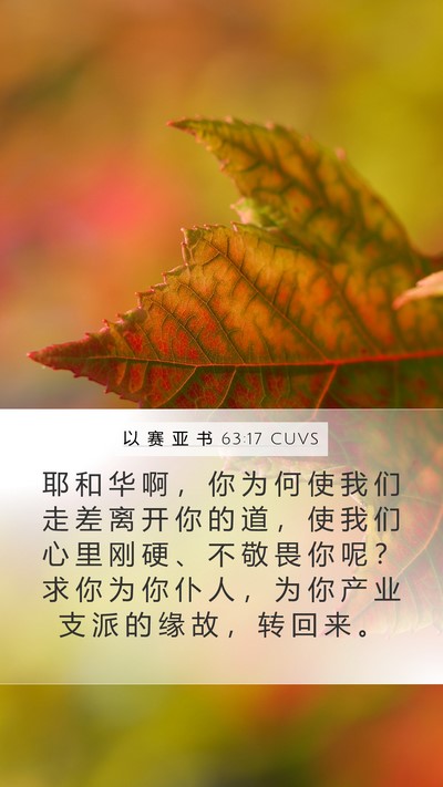 以 赛 亚 书 63:17 CUVS Bible Verse Image