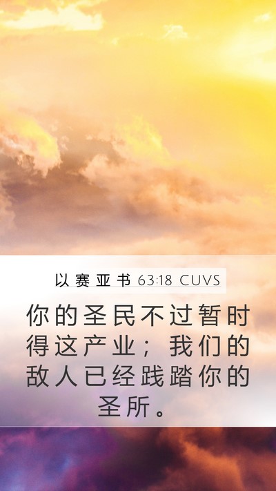 以 赛 亚 书 63:18 CUVS Bible Verse Image